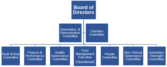 Board of Directors structure chart
