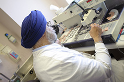 Pathology Samples