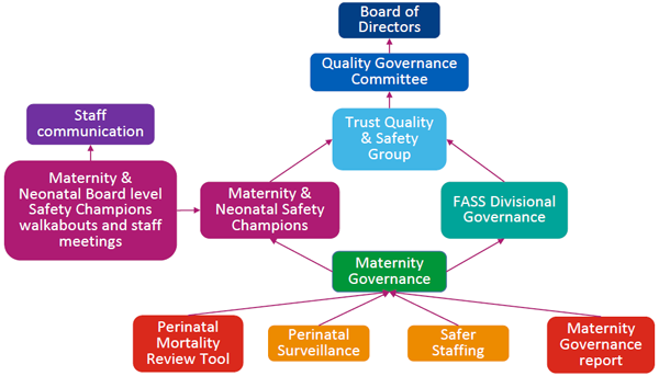 Flowchart showing the Maternity and Neonatal reporting structure